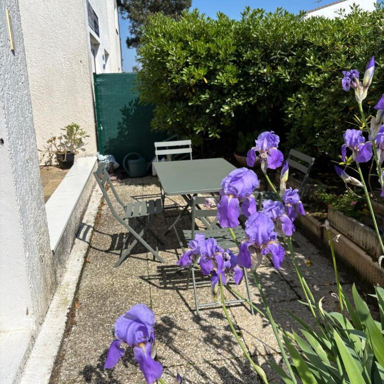 Appartement proche de la plage du Chay Royan - One-Bedroom Apartment - 2