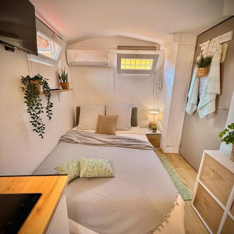 Hotel Le Céleste - Appartement Premium 1 Chambre - 1