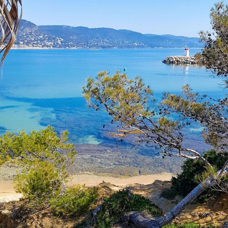 SELECTsoHOME - Vue mer piscine à la Favière - ANGLADE - Appartement 1 Chambre - Vue sur Mer - 15