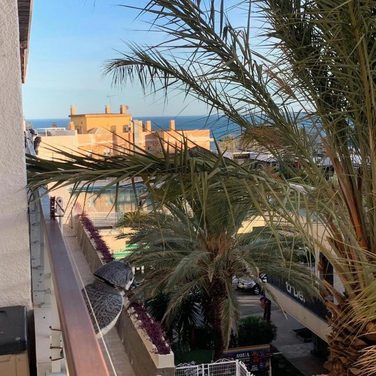 Sunset Pool - La Nogalera - City Center - Apartamento de 1 dormitorio - 22
