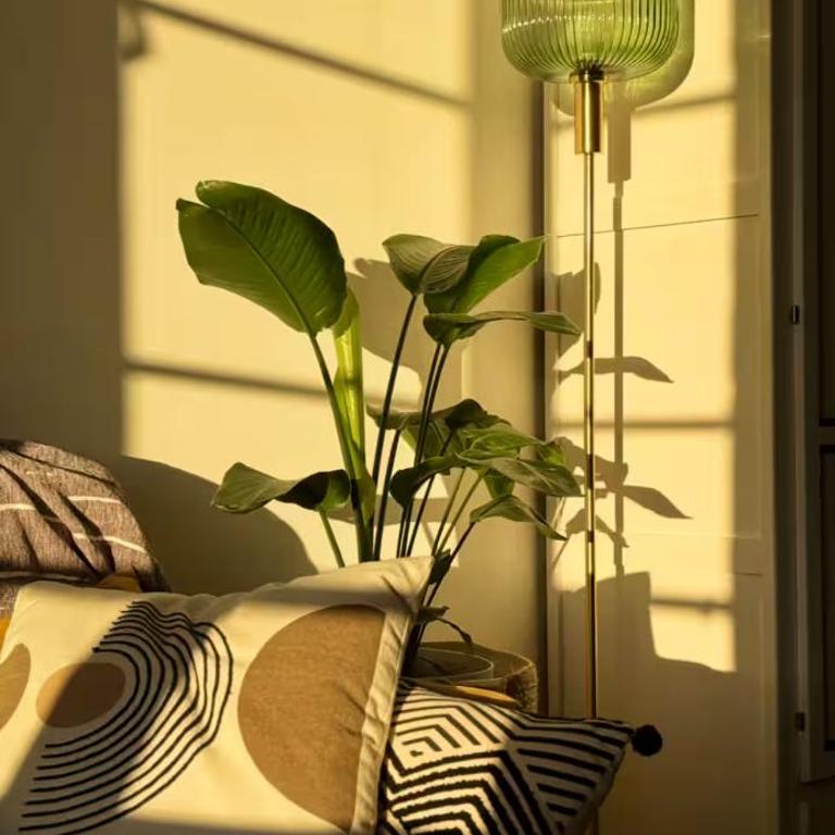 Studio with bright sleeping area - Apartamento de 1 dormitorio - 2