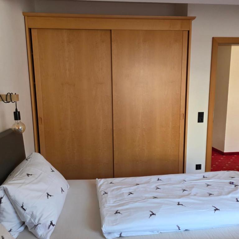 Pension Embacher GmbH & Co KG - Apartment mit 1 Schlafzimmer und Aussicht - 4