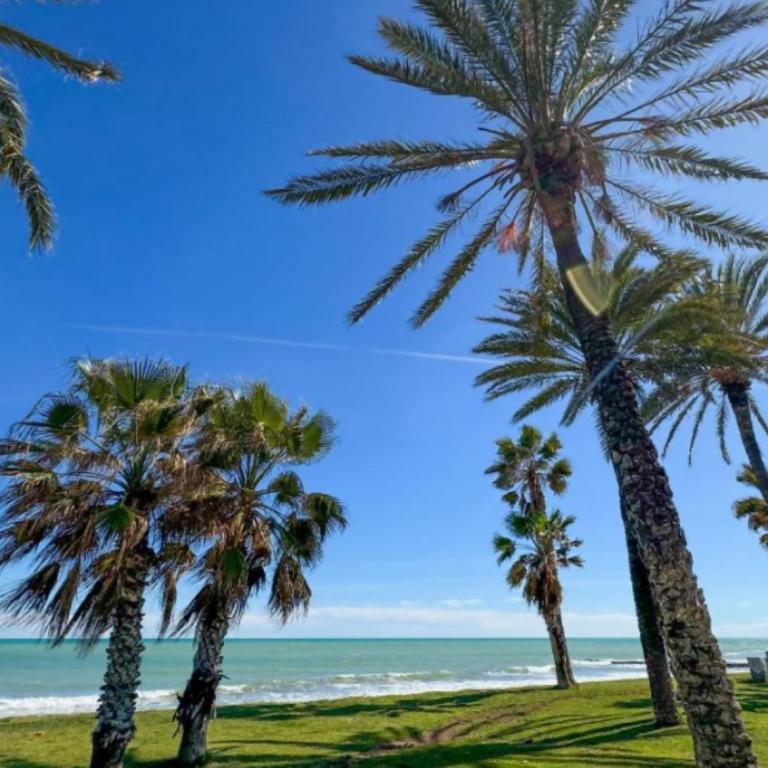 EL RELAX DE TORREMAR - Apartamento de 2 dormitorios con balcón - 4