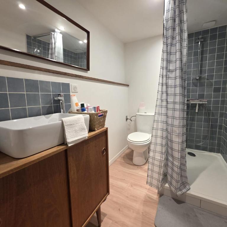 Magnifique appartement vieux Tours - Appartement 1 Chambre - 12
