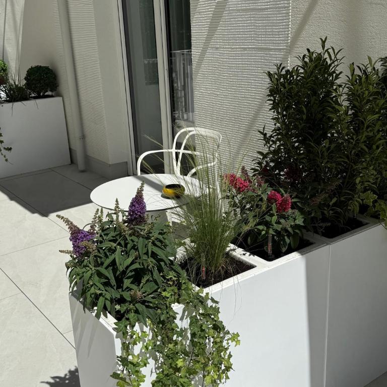 Galerie Hotel - Deluxe Doppelzimmer mit Balkon - 1