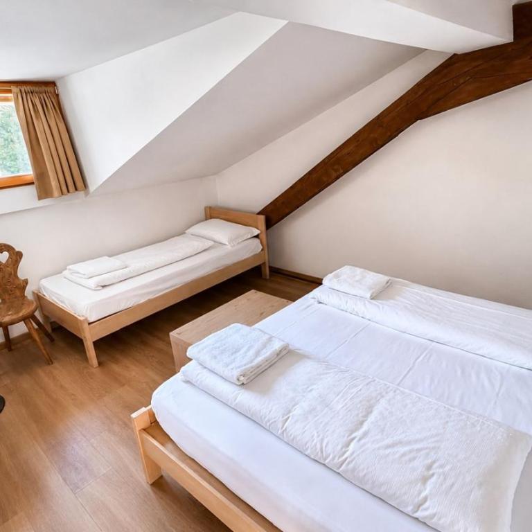 Hotel Regina Delle Dolomiti - Camera Tripla - 7