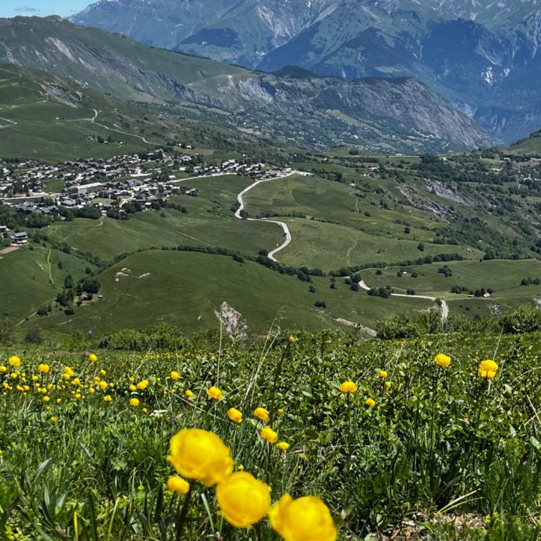 LE CORBIER Vue pistes Studio 5 personnes entièrement rénové et labellisé Qualité Hébergement Sybelles - Appartement 1 Chambre - 28