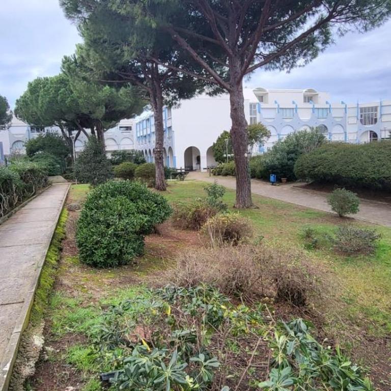 Bougainvilliers - Apartment - 44