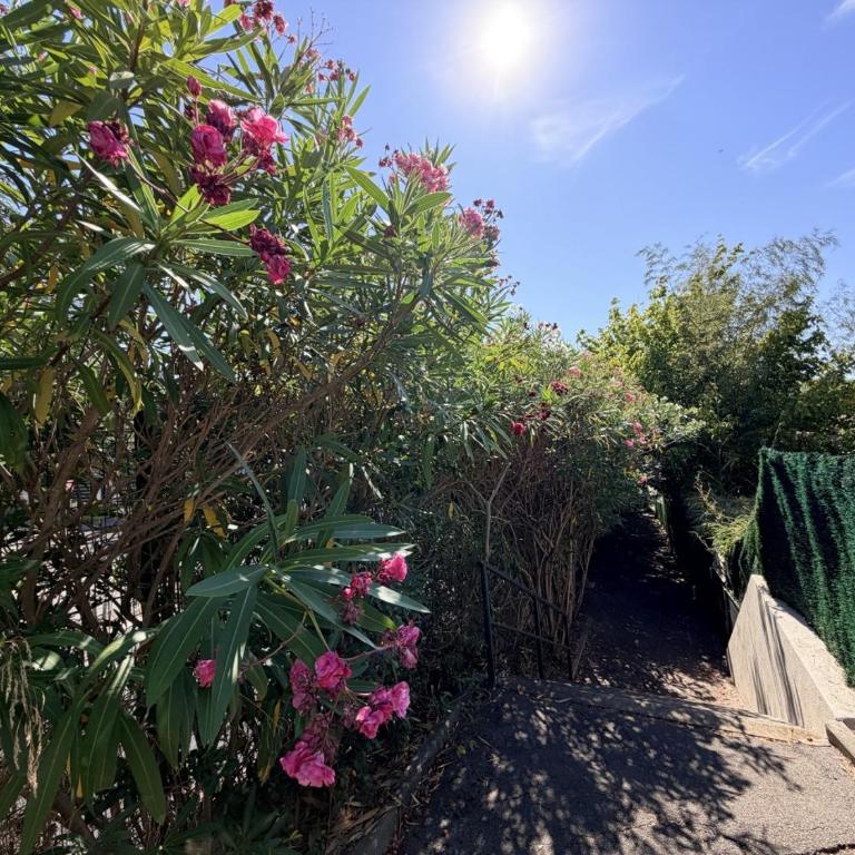 Soleil de Montpellier, Clim, Piscine et Pkg Privé - Appartement 2 Chambres - 40