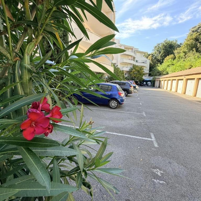 Soleil de Montpellier, Clim, Piscine et Pkg Privé - Appartement 2 Chambres - 42