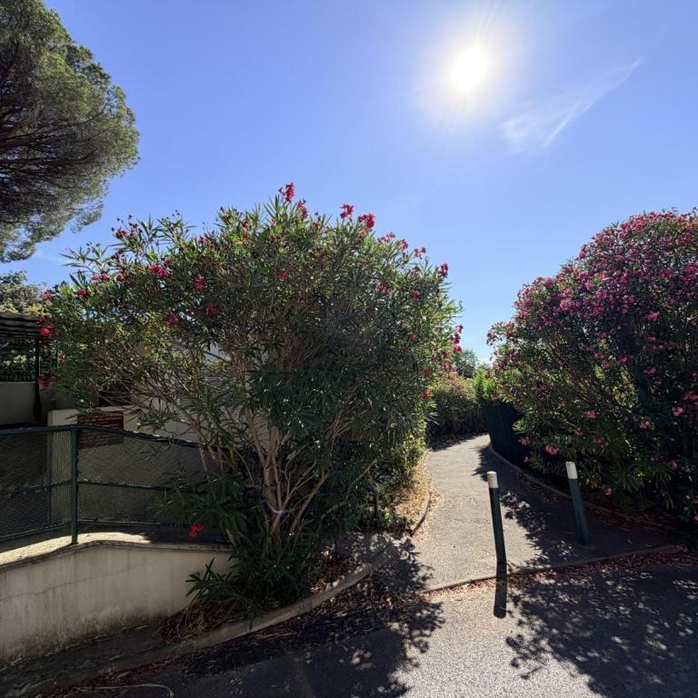 Soleil de Montpellier, Clim, Piscine et Pkg Privé - Appartement 2 Chambres - 41