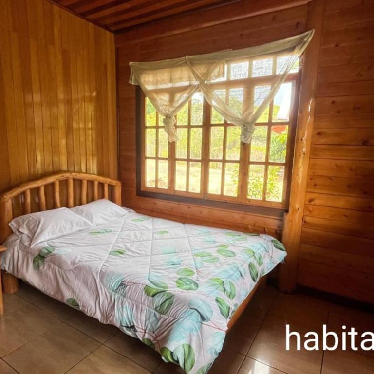 OXALAND CABAÑa - Two-Bedroom House - 16
