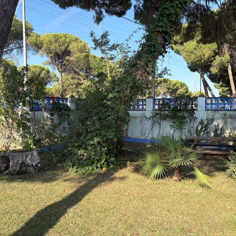 Villa La Mayorazga - Casa de 3 dormitorios - 4