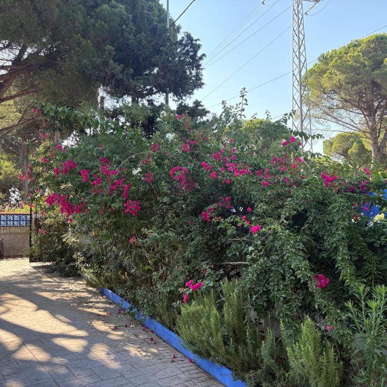 Villa La Mayorazga - Casa de 3 dormitorios - 18