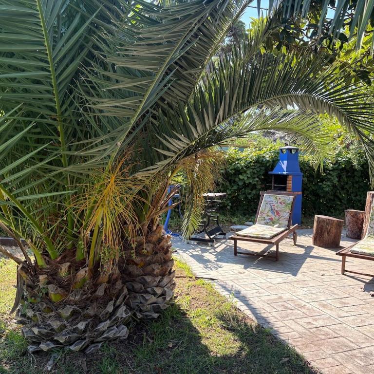 Villa La Mayorazga - Casa de 3 dormitorios - 22