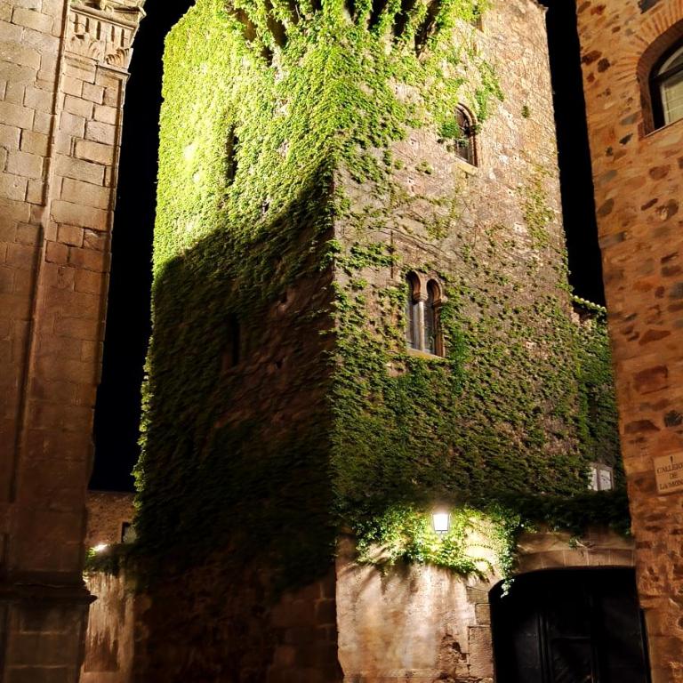 Mirador Medieval - Appartamento con 2 Camere da Letto - 36