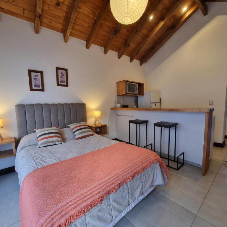 Aluen - Andarlibre - Estudio con 1 cama grande - 4