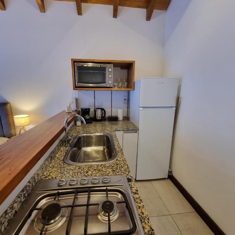 Aluen - Andarlibre - Estudio con 1 cama grande - 3