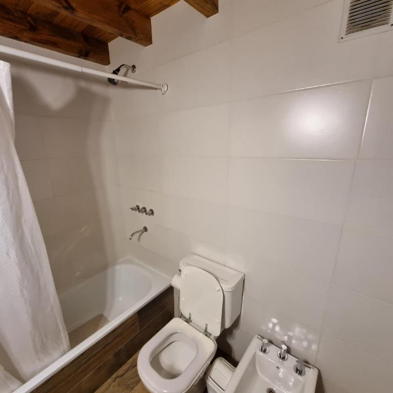 Aluen - Andarlibre - Estudio con 1 cama grande - 8