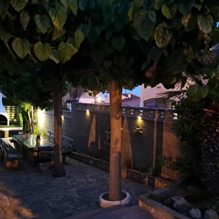 Llar Montagut - Casa - 37
