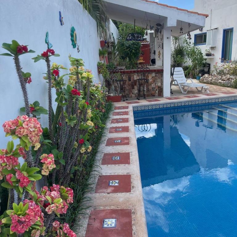 Casa Lupita - Maison 1 Chambre - 5
