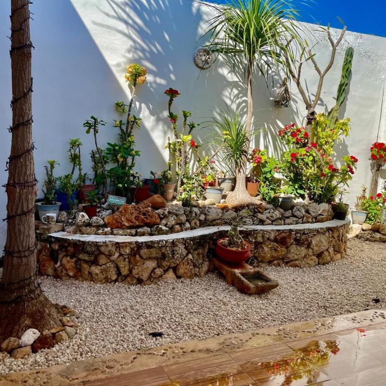 Casa Lupita - Maison 1 Chambre - 27