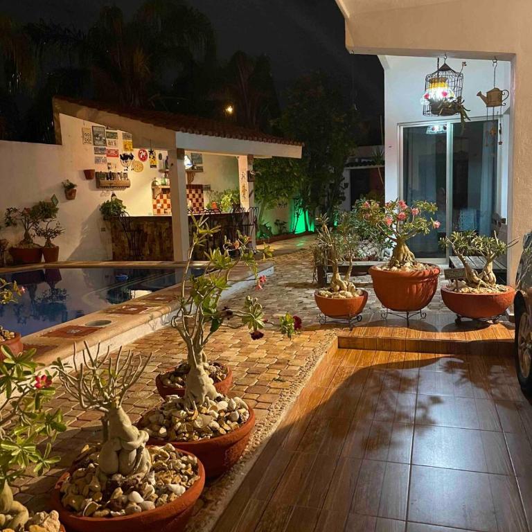 Casa Lupita - Maison 1 Chambre - 33