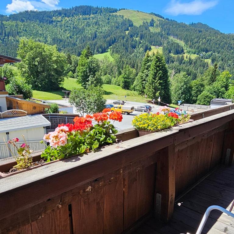 Frühstückspension Schönblick - Doppelzimmer mit Balkon - 2