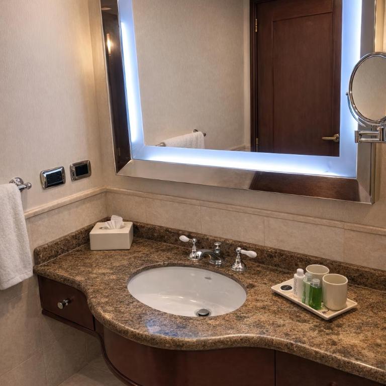 Regal Pacific Puerto Madero - Habitación Doble Deluxe - 3