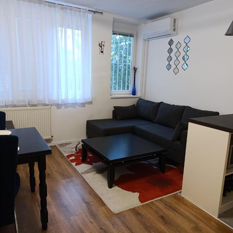 AR-20 Centar Sarajevo 2 plus 1 free parking - Apartman sa 1 Spavaćom Sobom - 1