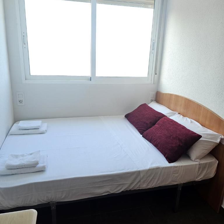 Arenales Beach Front 67 - One-Bedroom Apartment - 3