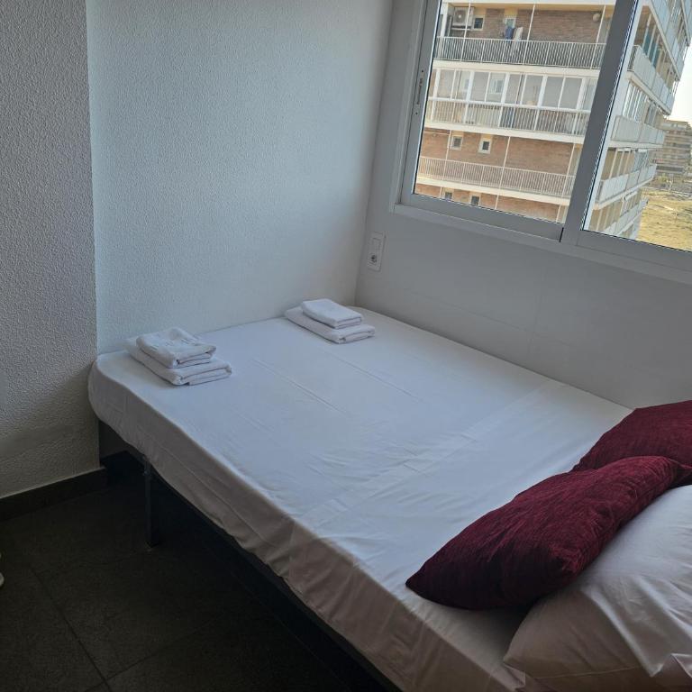 Arenales Beach Front 67 - One-Bedroom Apartment - 6