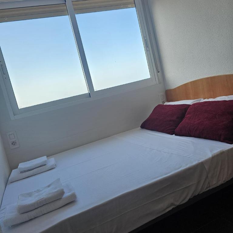 Arenales Beach Front 67 - One-Bedroom Apartment - 10