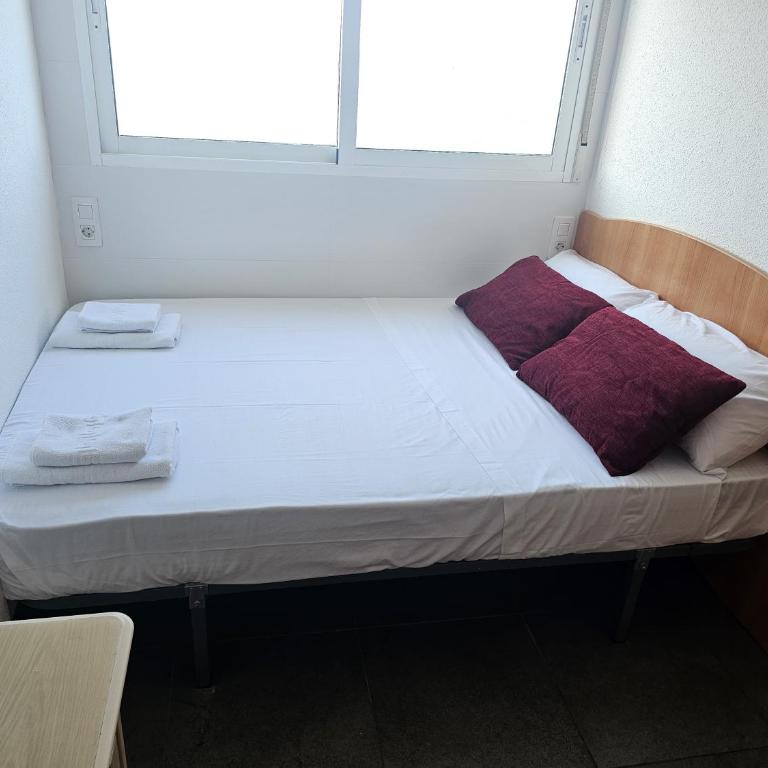 Arenales Beach Front 67 - One-Bedroom Apartment - 15