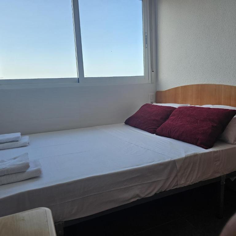 Arenales Beach Front 67 - One-Bedroom Apartment - 21