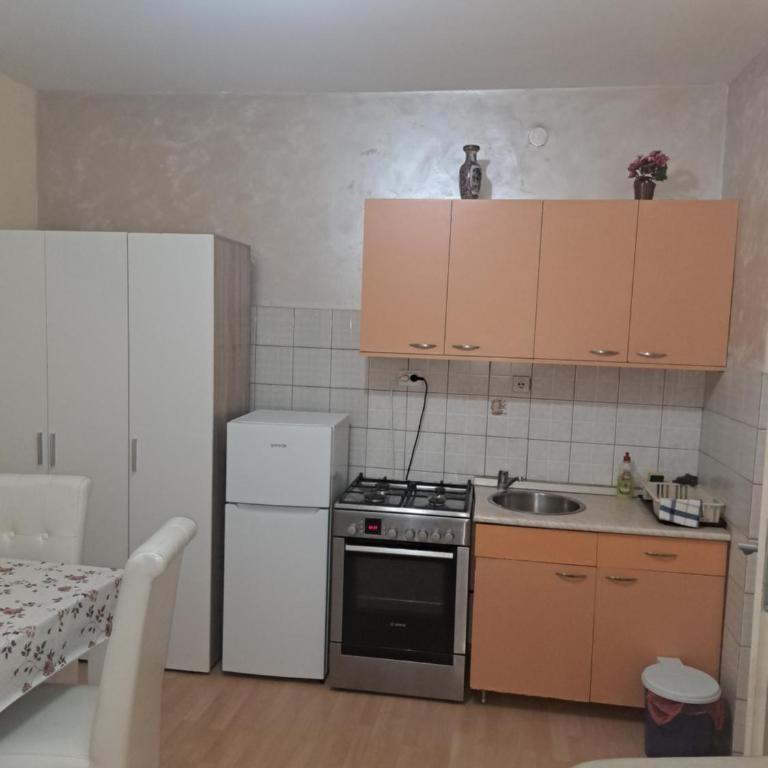 Apartments Petkovic - Standardni Apartman - 1