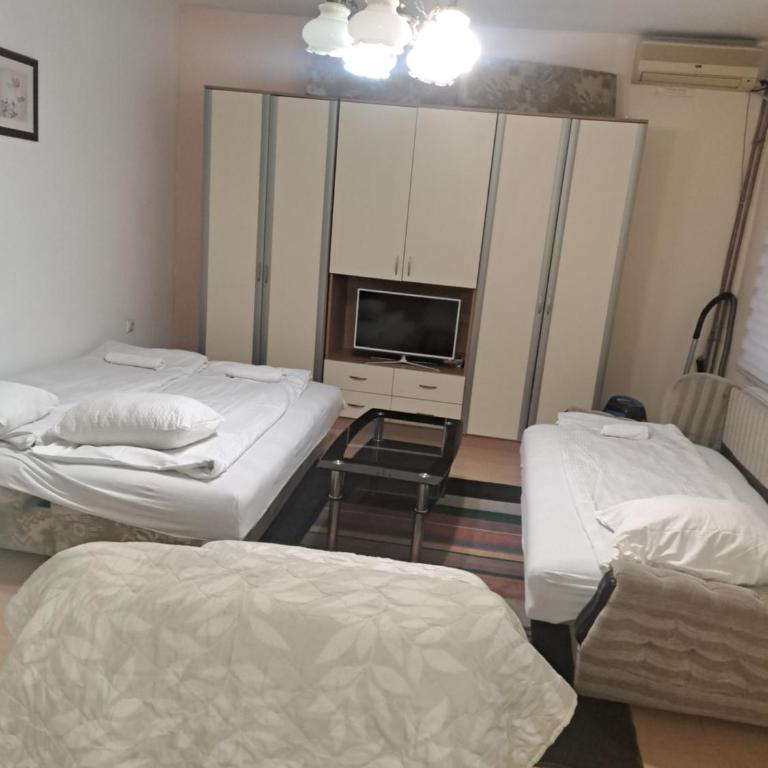 Apartments Petkovic - Standardni Apartman - 3