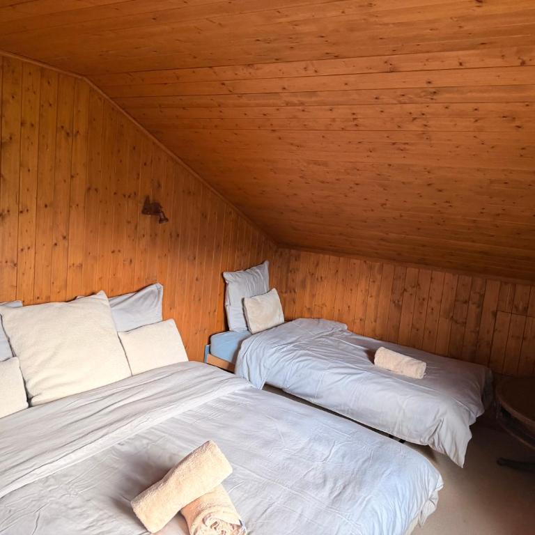 Cozy Le Lézard chalet with mountain view fireplace - Chalet mit 1 Schlafzimmer - 17
