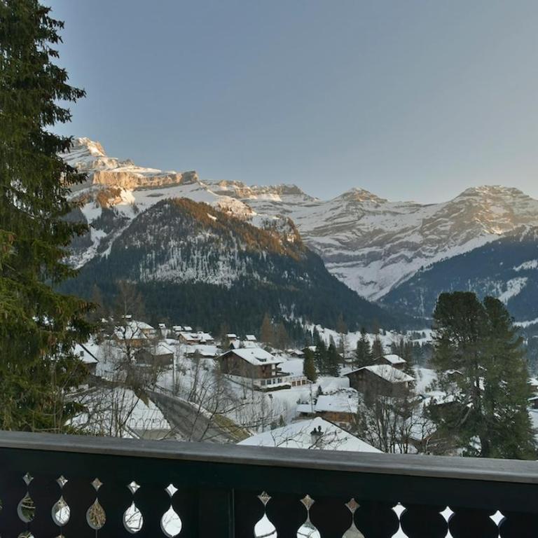 Cozy Le Lézard chalet with mountain view fireplace - Chalet mit 1 Schlafzimmer - 28