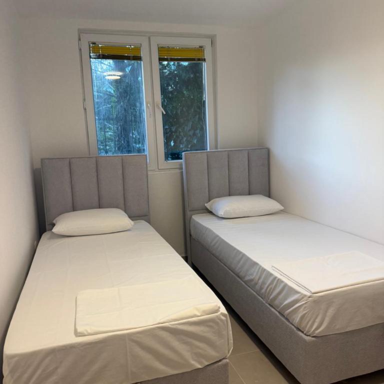 Amarcord apartments - Appartement 2 Chambres - 5