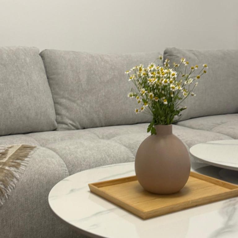 Amarcord apartments - Appartement 2 Chambres - 1
