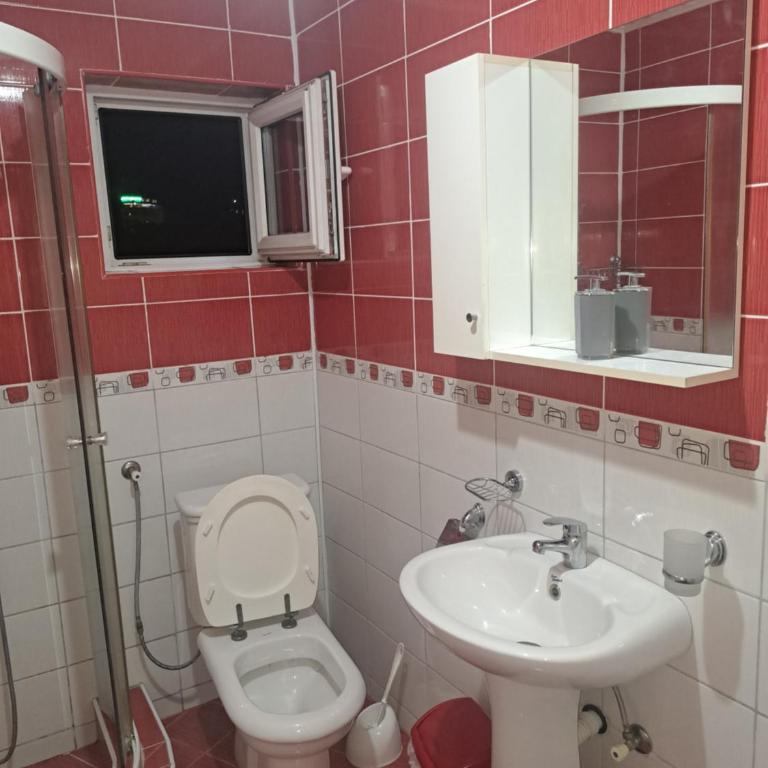 Apartments Petkovic - Apartman sa Pogledom na Planinu - 1