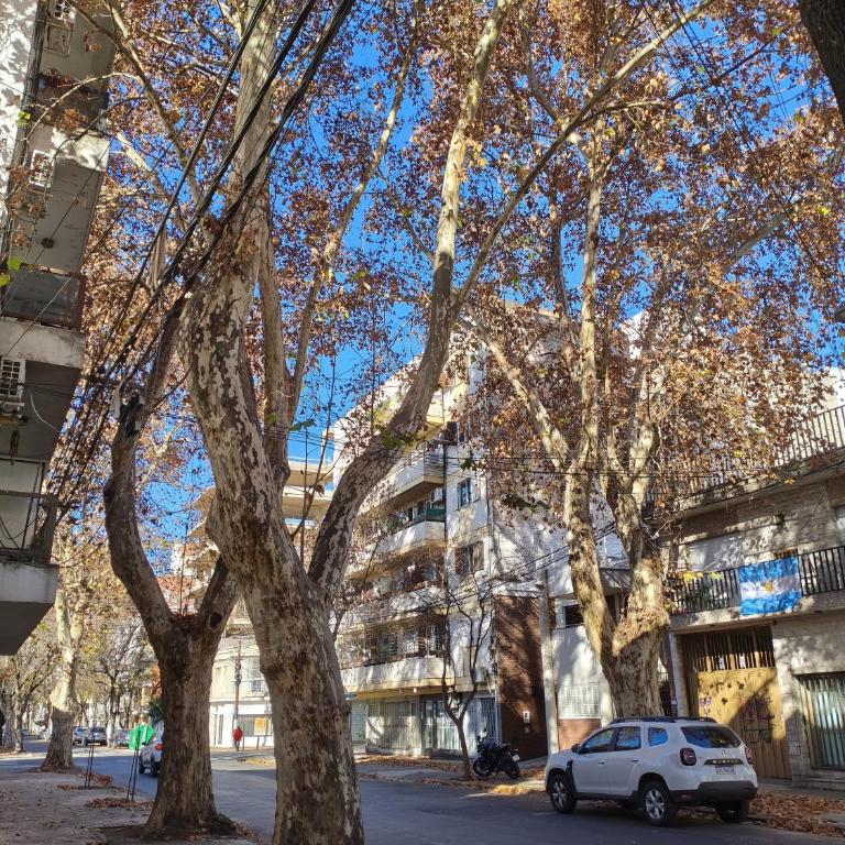 CALI Céntrico Amplio Luminoso - Apartamento de 1 dormitorio - 6