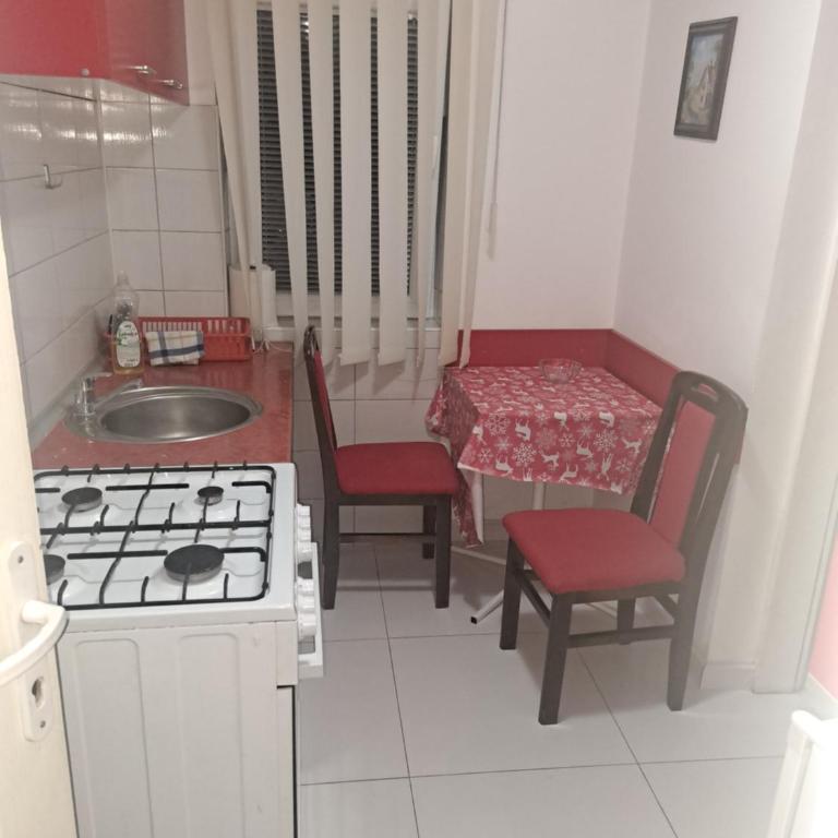 Apartments Petkovic - Apartman sa Pogledom na Planinu - 3