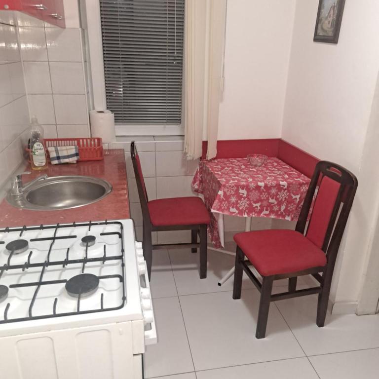Apartments Petkovic - Apartman sa Pogledom na Planinu - 4