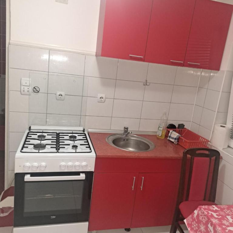 Apartments Petkovic - Apartman sa Pogledom na Planinu - 5