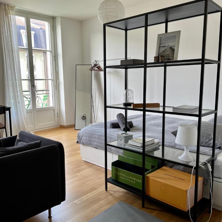 Luxury Apartment in Central Geneva - Appartement 1 Chambre - 2