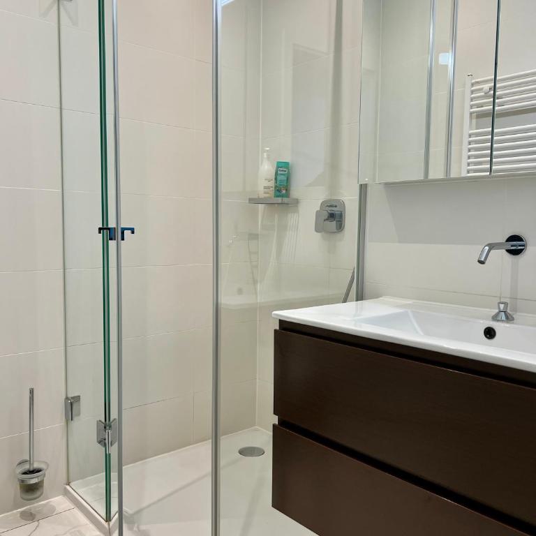 Luxury Apartment in Central Geneva - Appartement 1 Chambre - 8