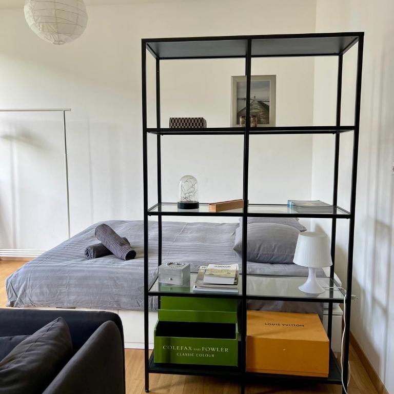 Luxury Apartment in Central Geneva - Appartement 1 Chambre - 4