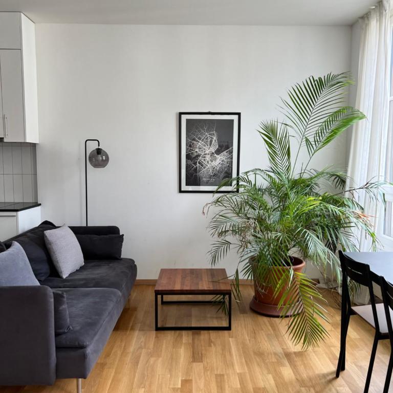 Luxury Apartment in Central Geneva - Appartement 1 Chambre - 1